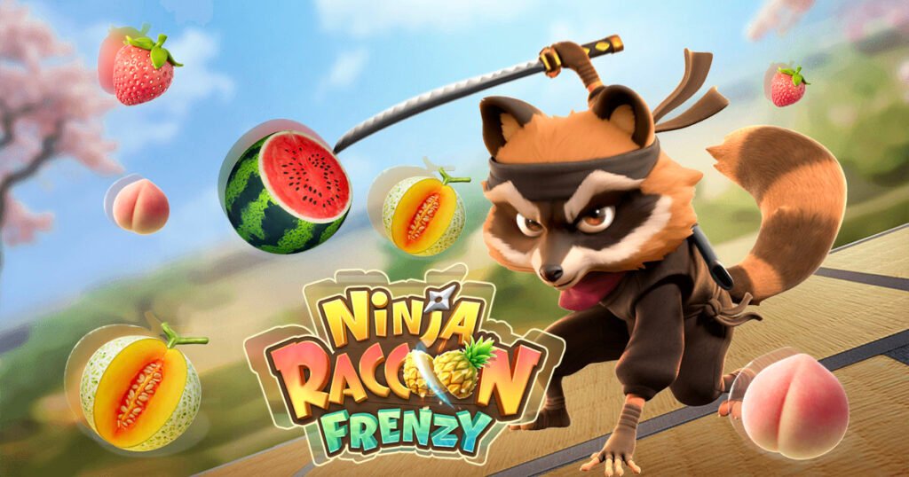 Ninja Raccon Frenzy